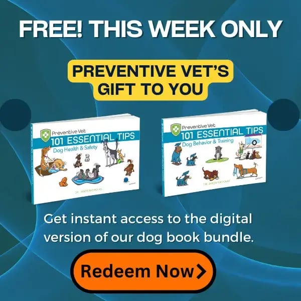 When to Euthanize an Aggressive Dog